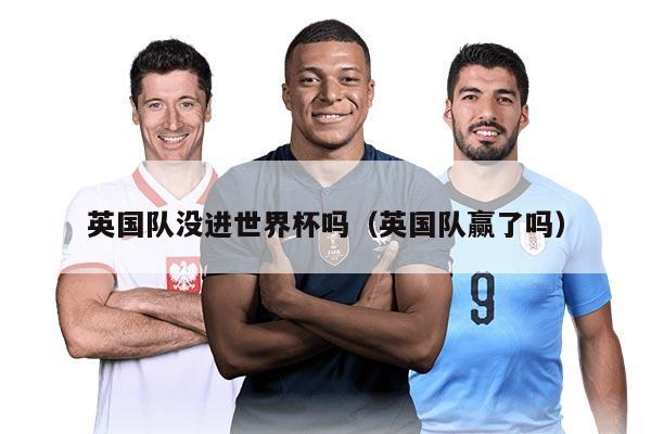 英国队没进世界杯吗（英国队赢了吗）