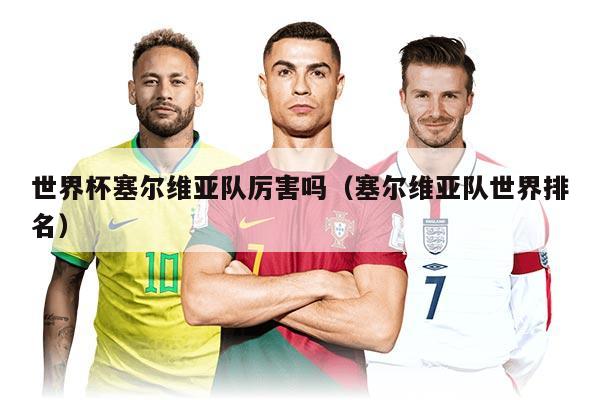 世界杯塞尔维亚队厉害吗（塞尔维亚队世界排名）