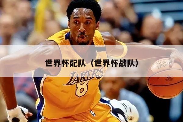 世界杯配队（世界杯战队）