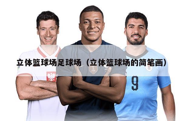 立体篮球场足球场（立体篮球场的简笔画）