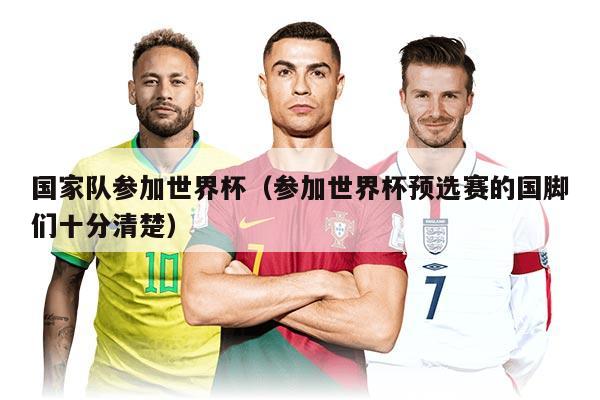 国家队参加世界杯（参加世界杯预选赛的国脚们十分清楚）